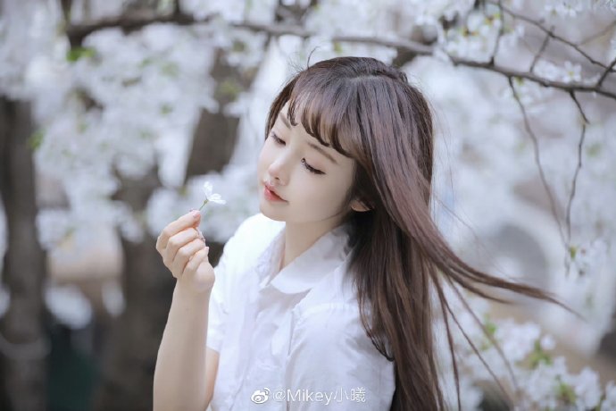 《功夫女足》票房突破16亿，与《少林足球》对比差异显著